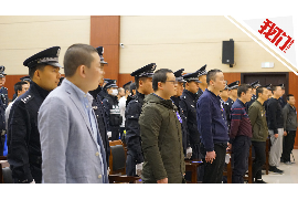 宿松企业清欠服务